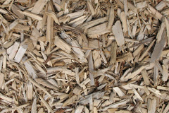 biomass boilers Trevilson